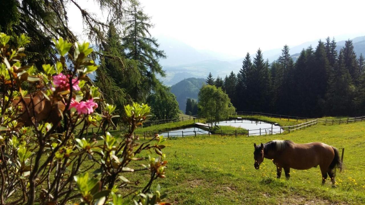 Kirchenbichlerhof Βίλα Pruggern Εξωτερικό φωτογραφία