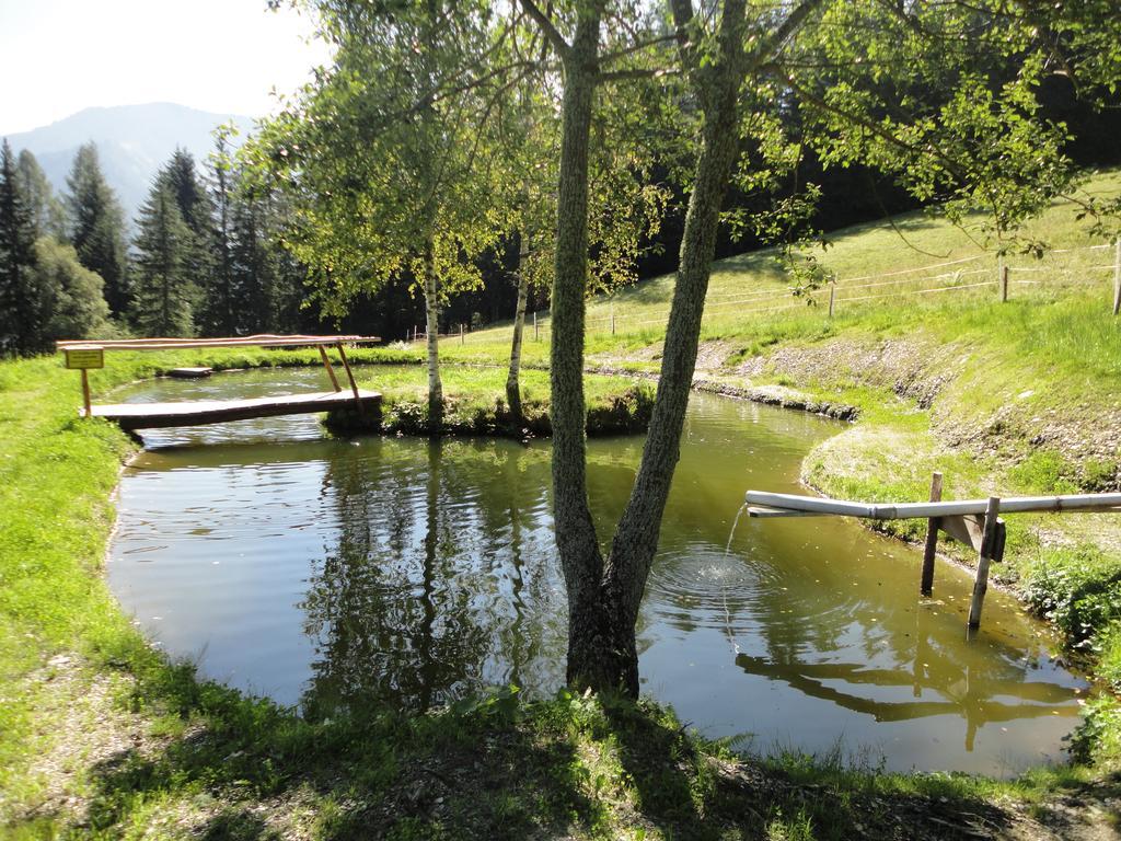 Kirchenbichlerhof Βίλα Pruggern Εξωτερικό φωτογραφία