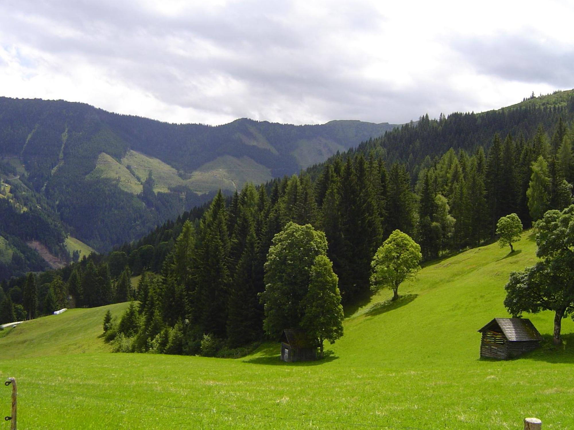 Kirchenbichlerhof Βίλα Pruggern Εξωτερικό φωτογραφία